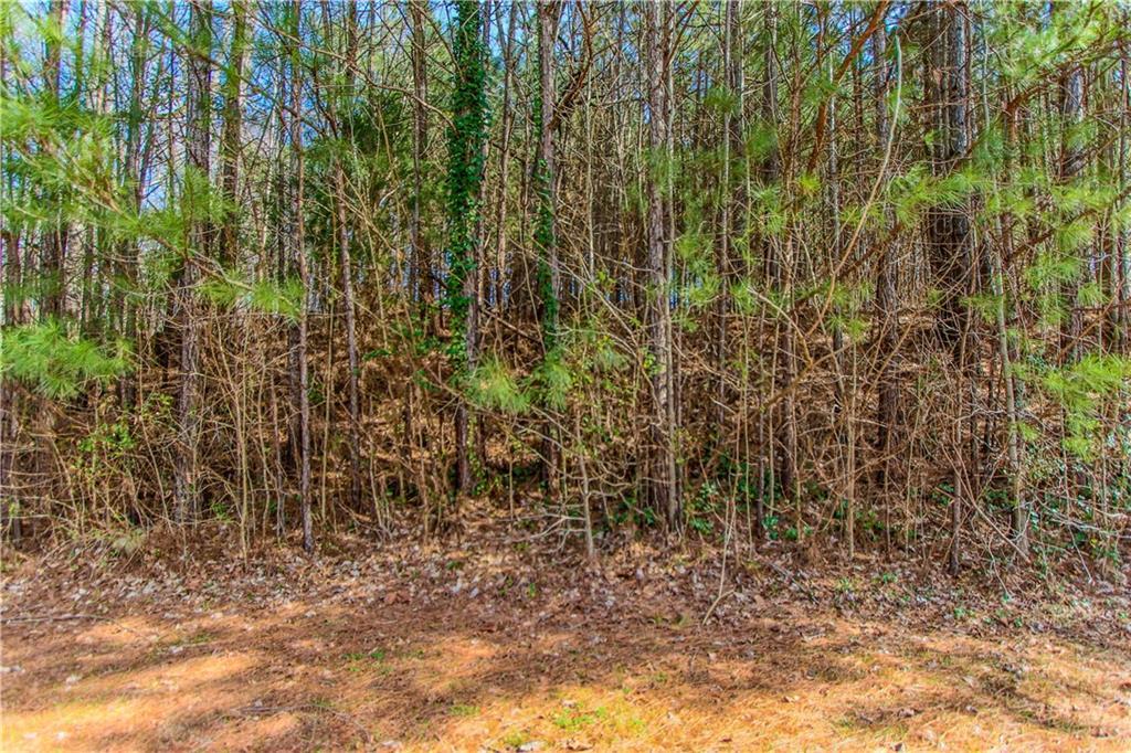 460 Carondelett Cove, Atlanta, GA 30331