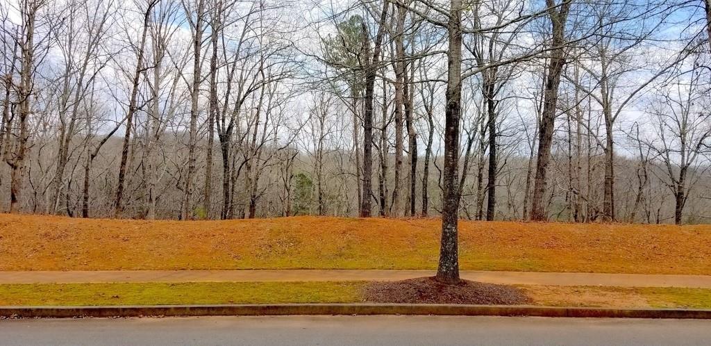 [Address Hidden by Seller], Gainesville, GA 30506