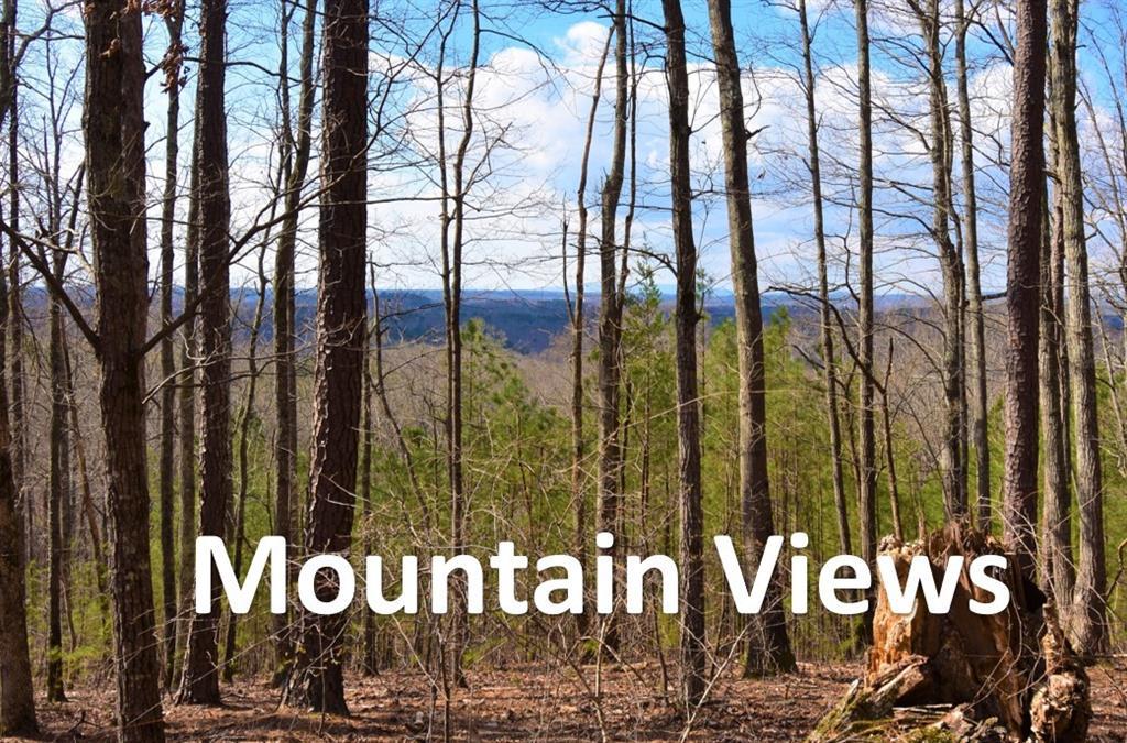2100 Mountain Cove Ct., Woodstock, GA 30188
