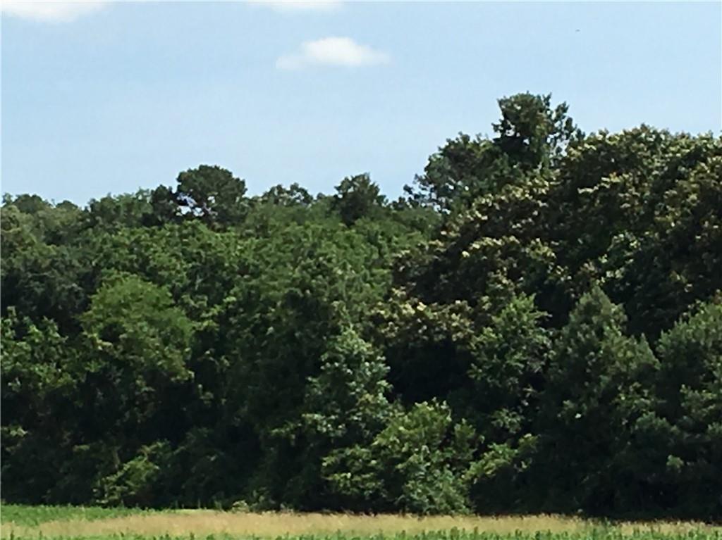 Old Alabama Rd., Taylorsville, GA 30178