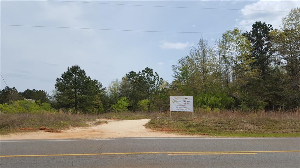 00 Pineville Rd., Buena Vista, GA 31803