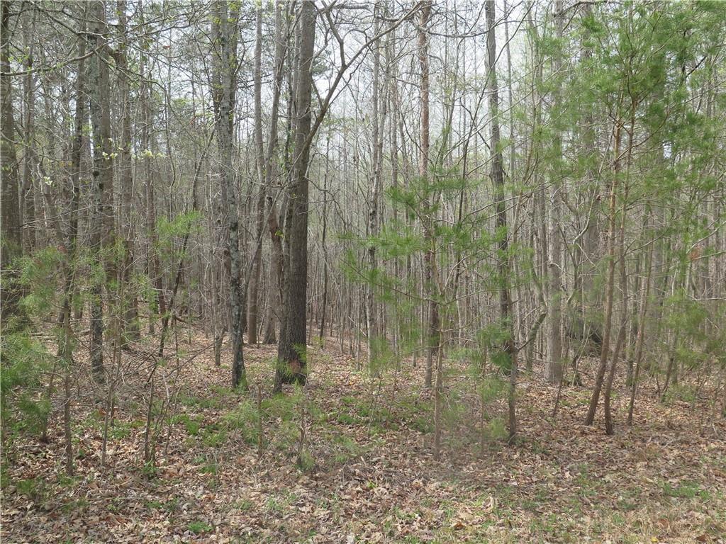 3343 Eberhart Cemetary Rd., Gainesville, GA 30507