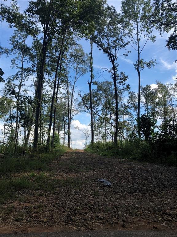 7 Mitchell Rd., Ball Ground, GA 30107