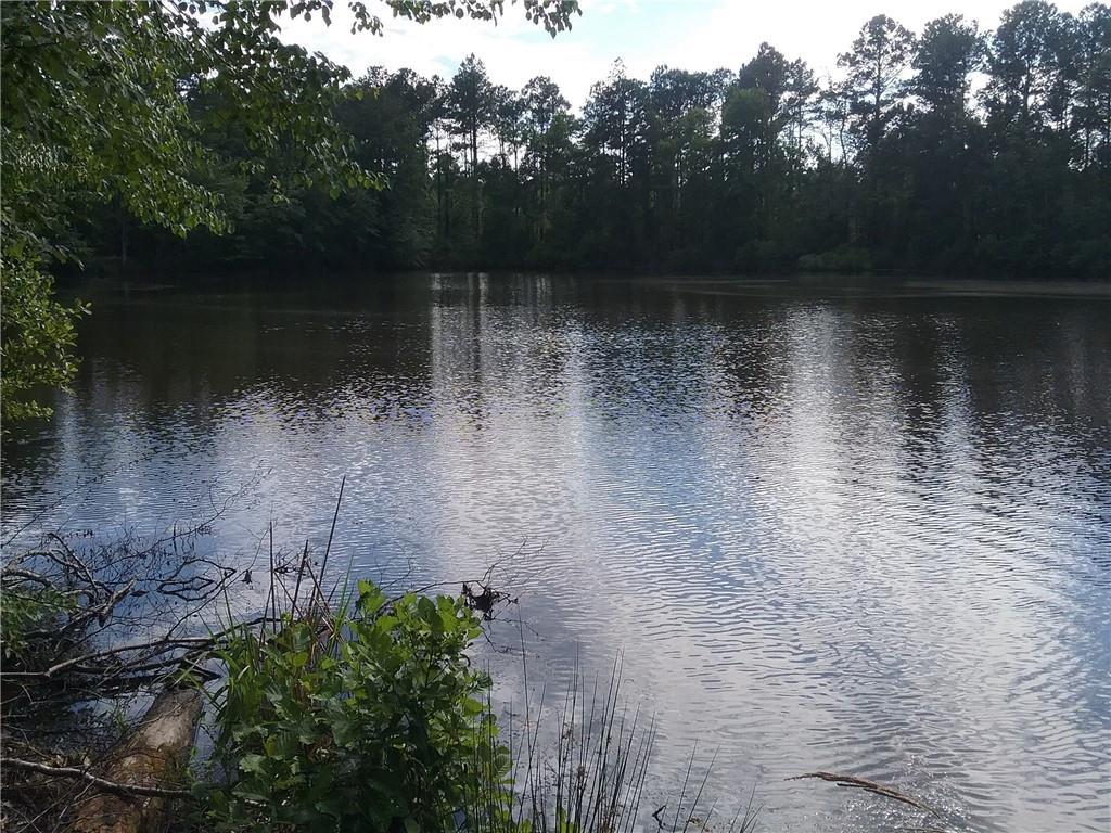 Holder Rd., Lumpkin, GA 31874