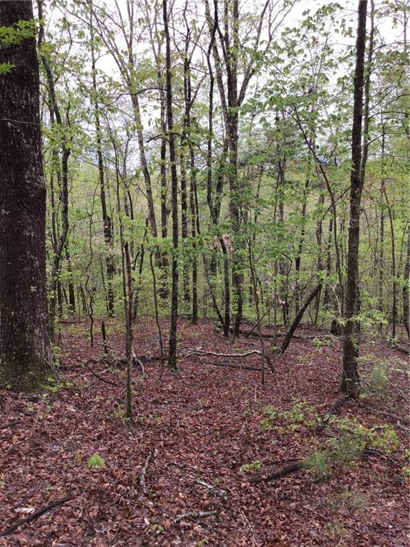 ## Whitestone Ln., Talking Rock, GA 30175