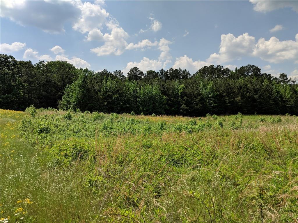 Johnson Lake Rd., Cedartown, GA 30125