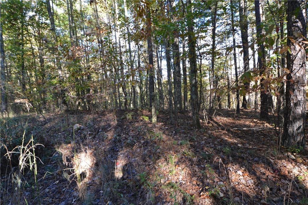 5,6 Courtney Ln., Blairsville, GA 30512