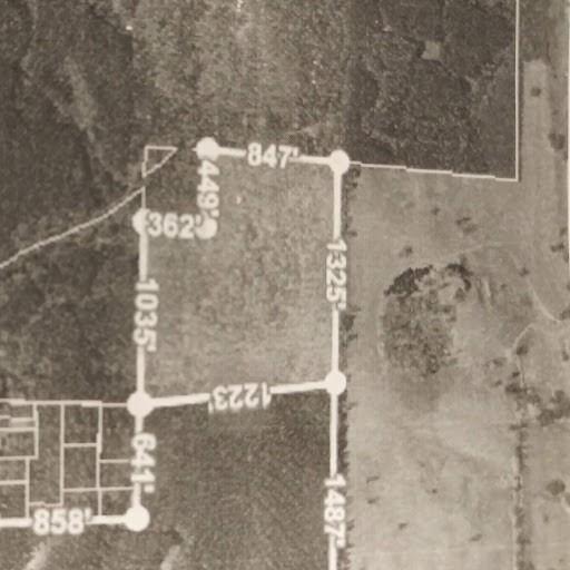 010 Potash Rd., Cedartown, GA 30125
