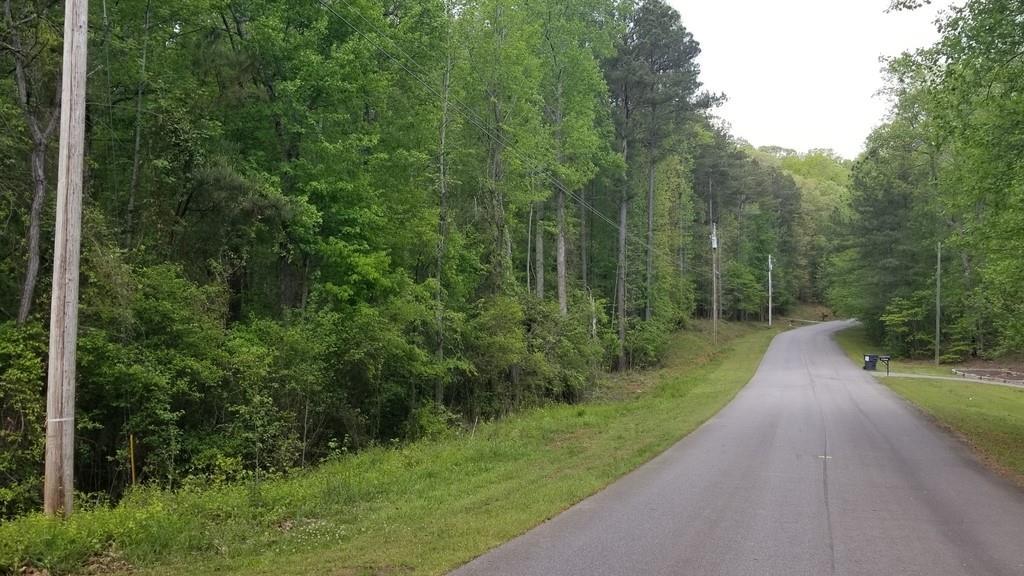 Hale Mountain Ct., Hiram, GA 30141