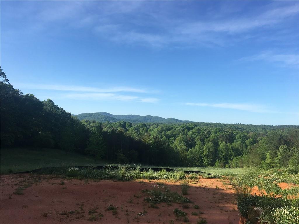 1360 Henry Evans Rd., Ellijay, GA 30540