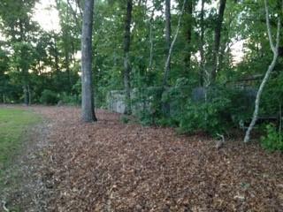 Cammie Wages Rd., Dacula, GA 30019