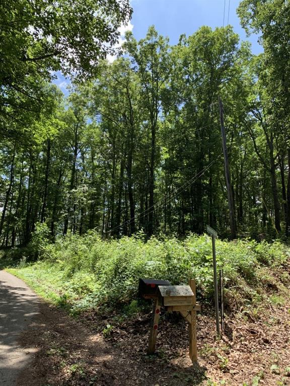 Nottingham Way, Fairmount, GA 30139
