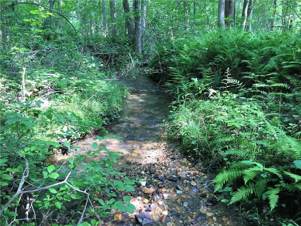 Pleasant Union Rd., Canton, GA 30114