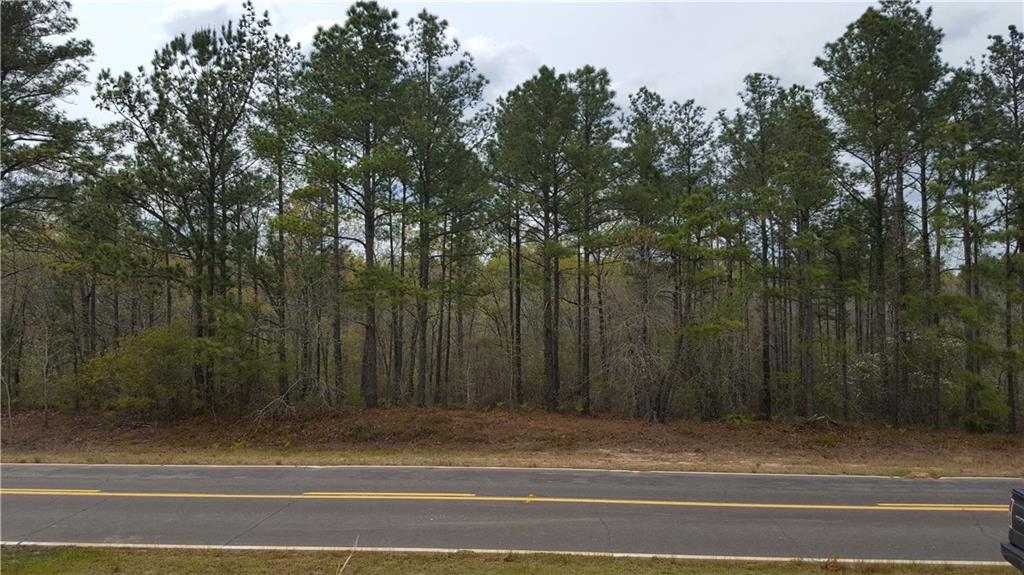 Blueville Rd., Buena Vista, GA 31803