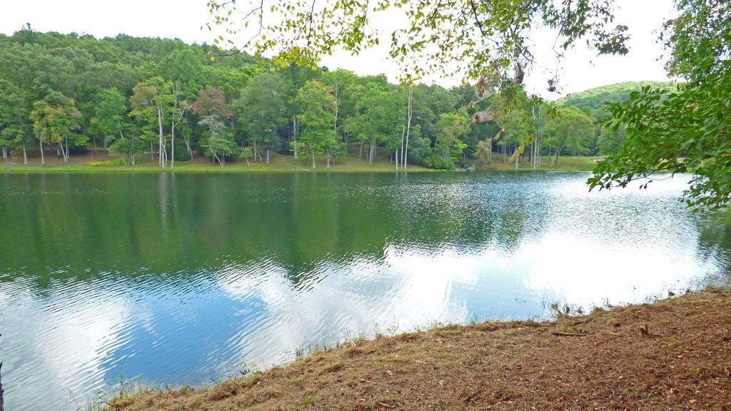Doublehead Gap Rd., Blue Ridge, GA 30513