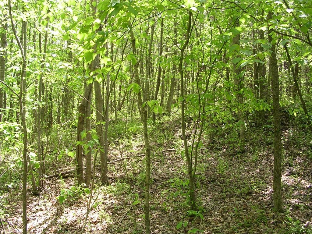 Reinhardt College Pkwy., Waleska, GA 30183