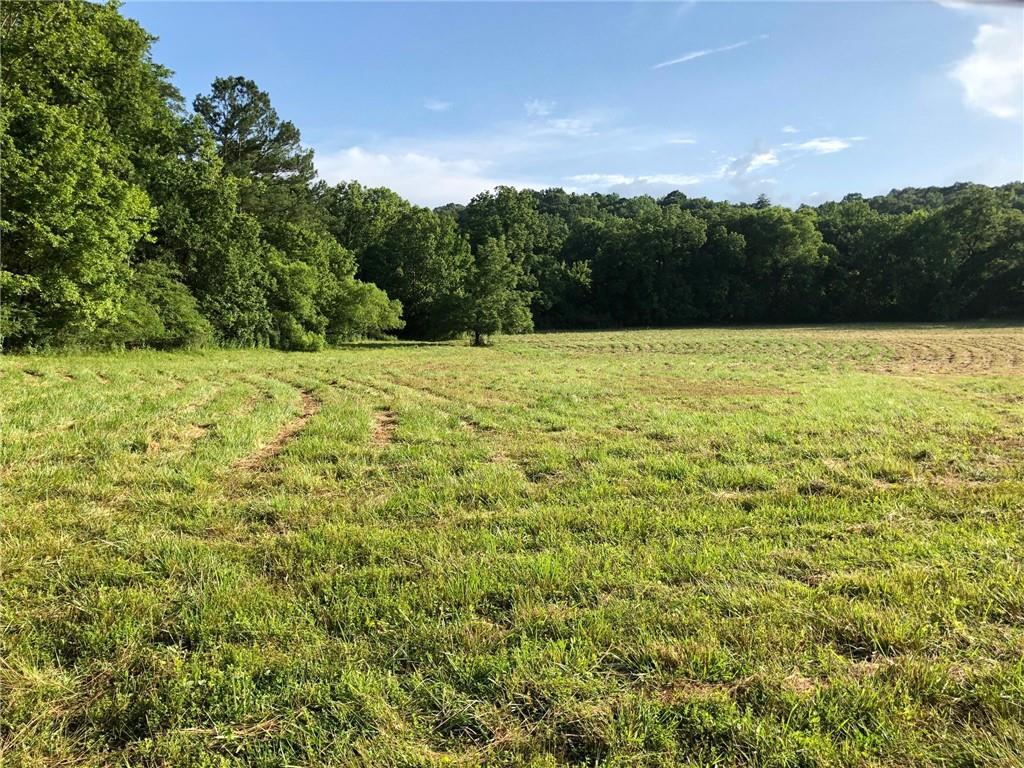 00 Hidden Cove Dr., Ball Ground, GA 30107