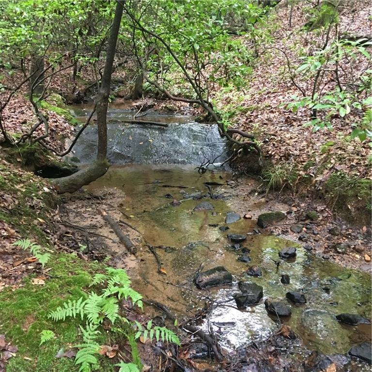 00 Hornage Rd., Ball Ground, GA 30107