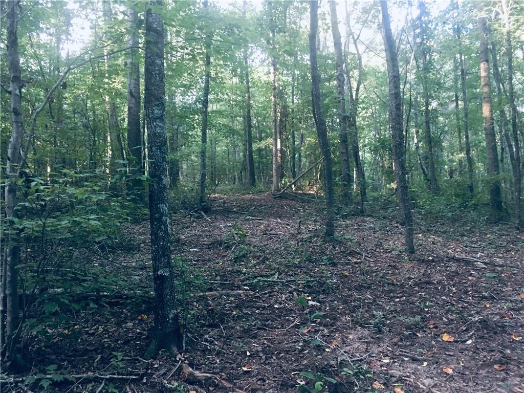 Big Ridge Rd., Talking Rock, GA 30175
