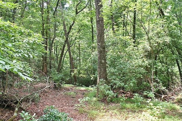 00 Camp Wahsega Rd., Dahlonega, GA 30533