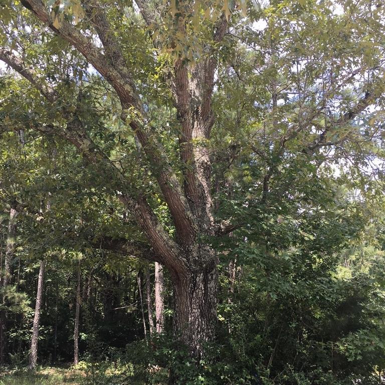 [Address Hidden by Seller], Winston, GA 30187