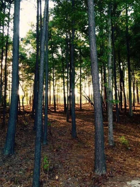 615 Q Loop, Chattahoochee Hills, GA 30268