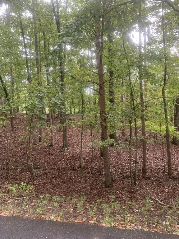 137 White Antelope St., Waleska, GA 30183