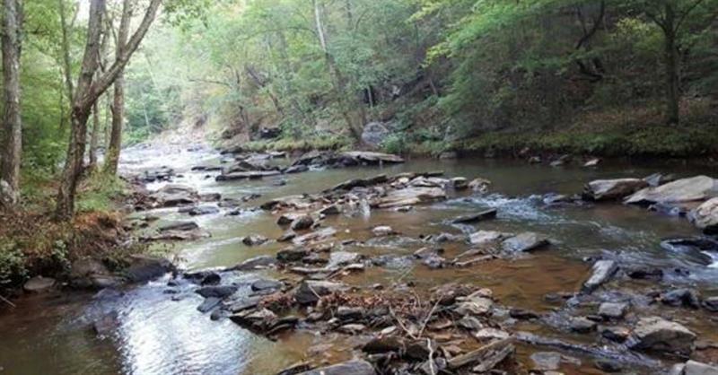 498 Covered Bridge Rd., Covington, GA 30016