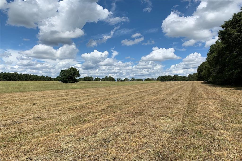 Walton Rd., Newnan, GA 30263