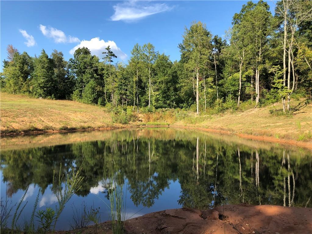 02 Price Creek Tr., Talking Rock, GA 30175