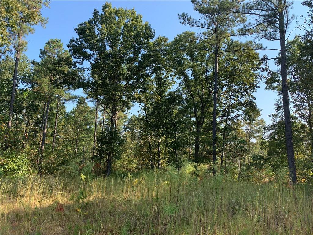 2835 Cherry Grove Rd., Ball Ground, GA 30107