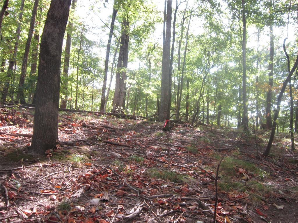 147 Little Pine Mountain Rd., Jasper, GA 30143