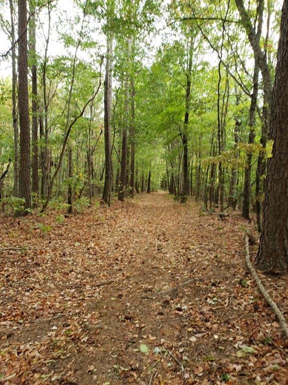 Cascade Rd., Jasper, GA 30143