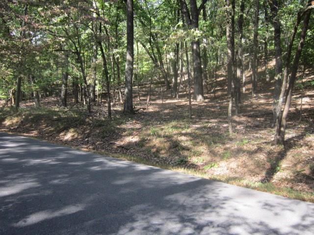 1290 Oglethorpe Mountain Rd., Jasper, GA 30143