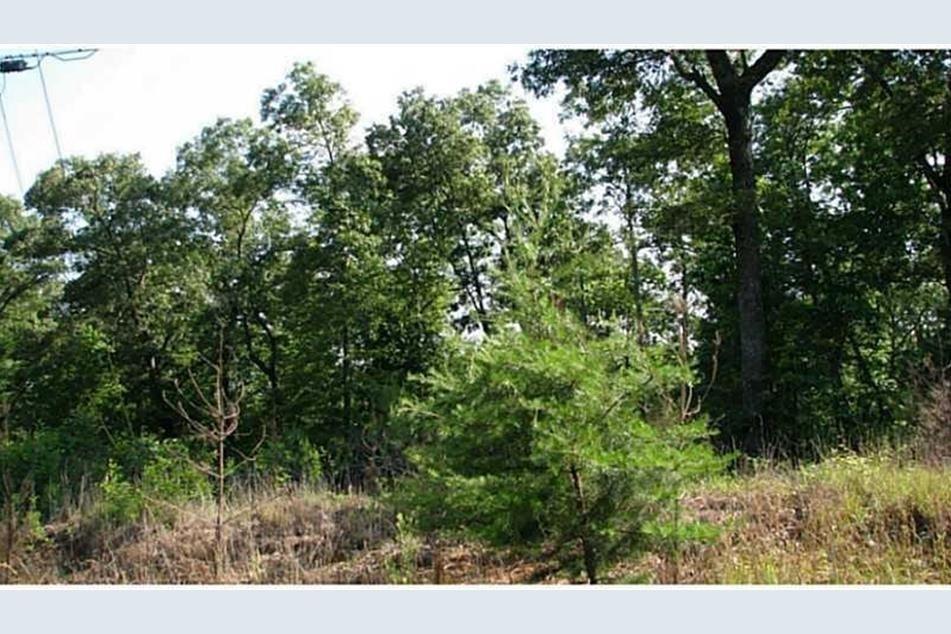 363 Old Post Tr., Talking Rock, GA 30175