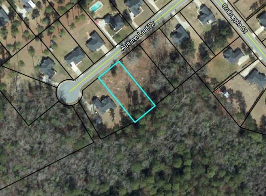 Autumn Leaf Dr., Leesburg, GA 31701