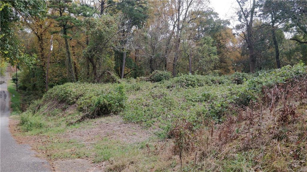 Lot 42 Lucky St., Canton, GA 30114