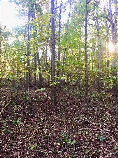 Orrs School Rd., Jefferson, GA 30549