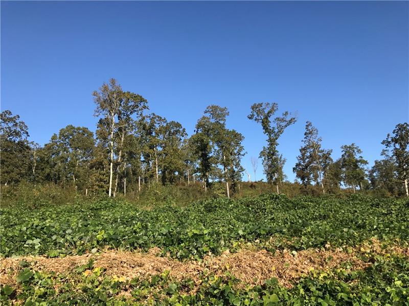 Clear Creek Rd., Adairsville, GA 30103