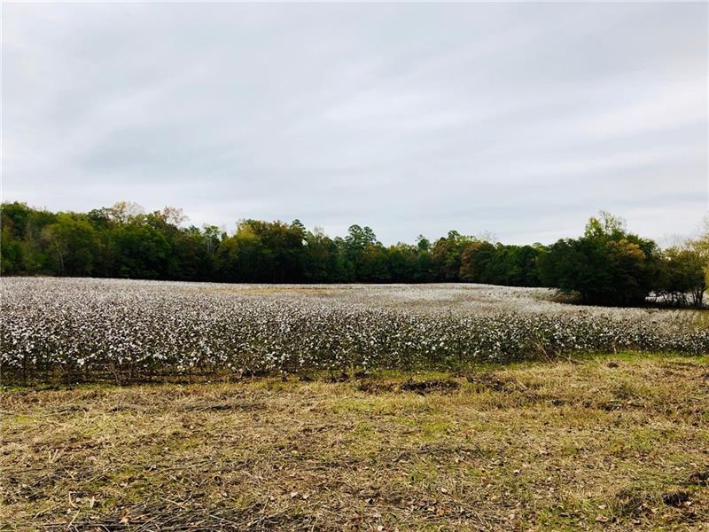 Lot 4 Saggus Rd., Cartersville, GA 30120