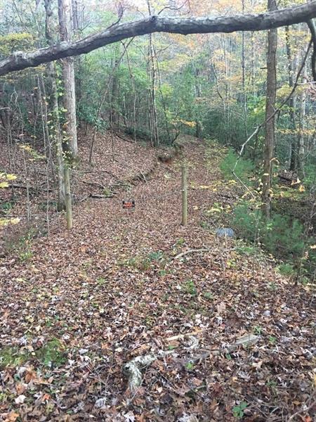 Fussen Strasse, Helen, GA 30545