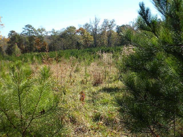 570 Bell Rd., Dallas, GA 30157