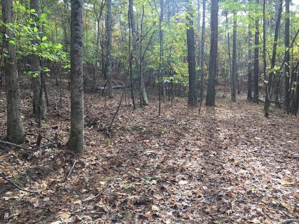 000 Lemon Ln., Canton, GA 30114