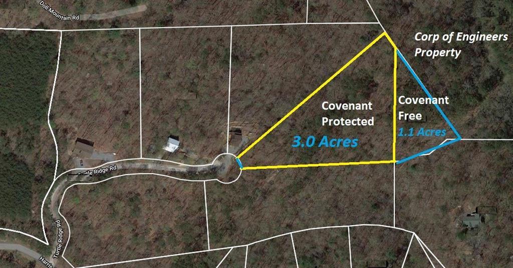 lot 17 Turtle Ridge, Ellijay, GA 30540
