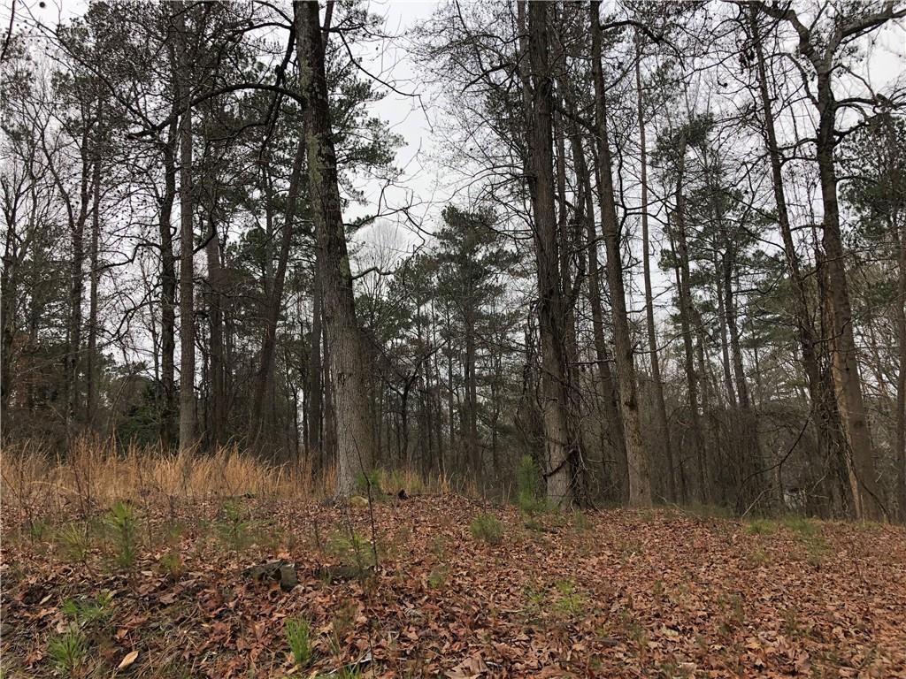 Shaw Rd., Marietta, GA 30066