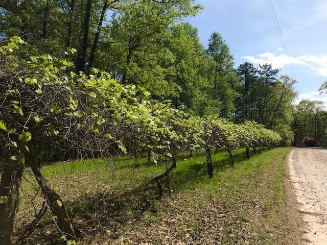 531 Deer Woods Tr., Cleveland, GA 30528