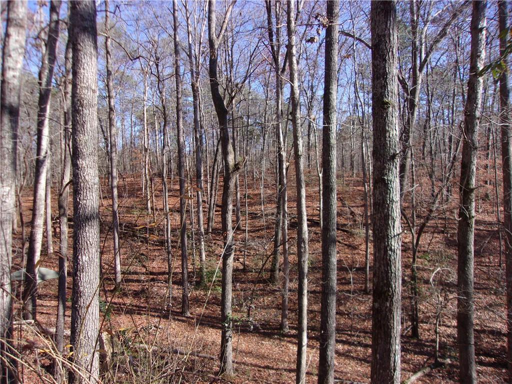 834 Pleasant Arbor Rd., Waleska, GA 30183