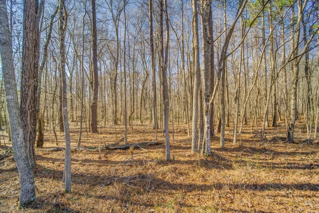 352 Beacham Path, Dallas, GA 30157