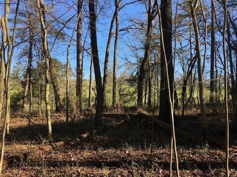 Goldmine Rd., Dawsonville, GA 30534