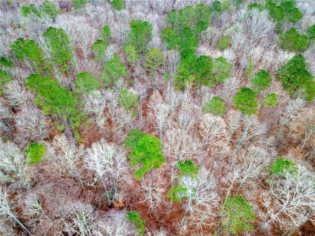 Whiteside Rd., Palmetto, GA 30268